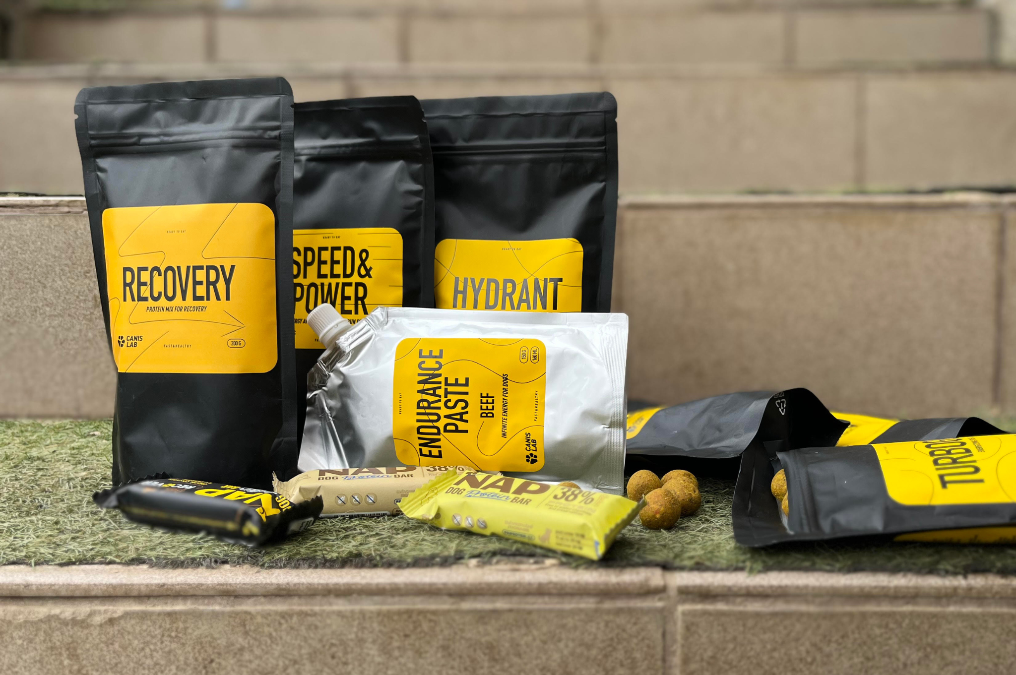 doplnky výživy pre psy v záťaži, športujúce psy